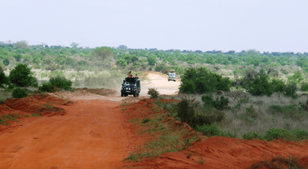 Safari.jpg
